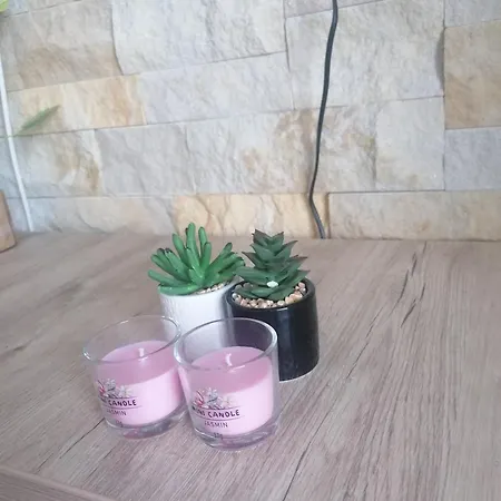 Milmari M3a Apartment Kopaonik